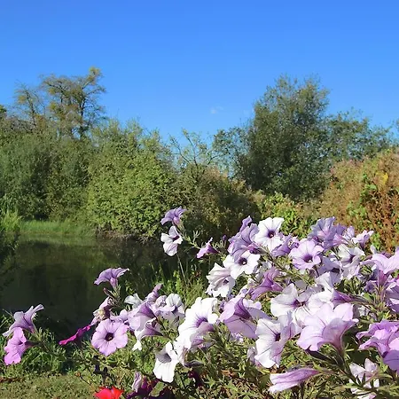 Ecologically Renovated Former 別荘 *