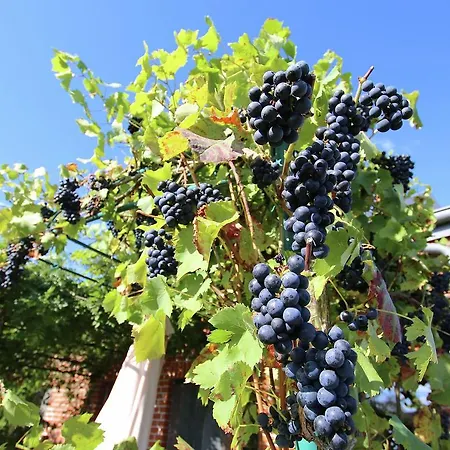 Сasa de vacaciones Family Farm In Sohier Wellin